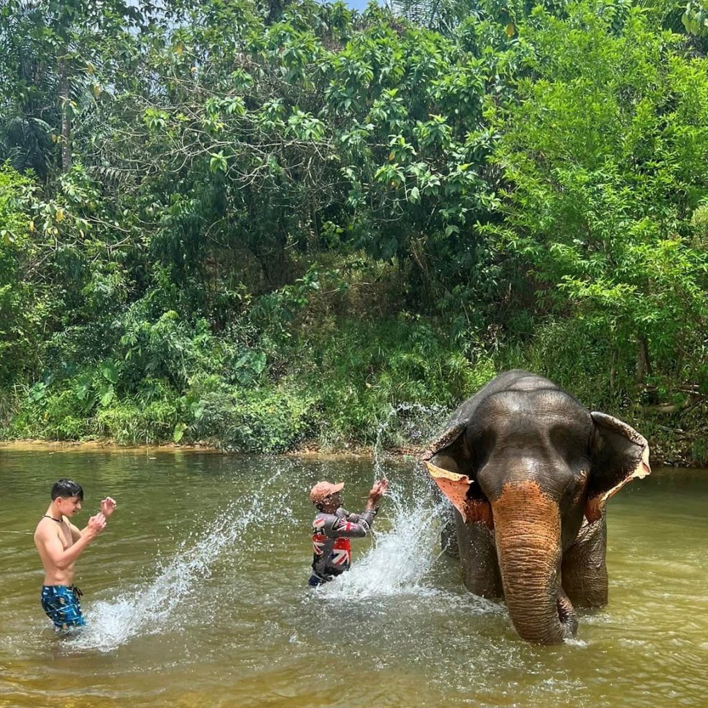 Ethische Elefanten Auffangstation Khao Sok Nationalpark Tagestour