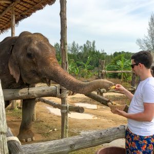 elefanten-fuettern-khao-lak-thailand