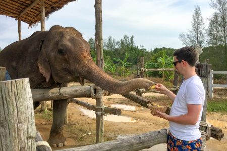 elefanten-fuettern-khao-lak-thailand