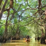 little amazon khao lak ausfluege
