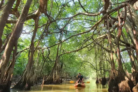 little amazon khao lak ausfluege
