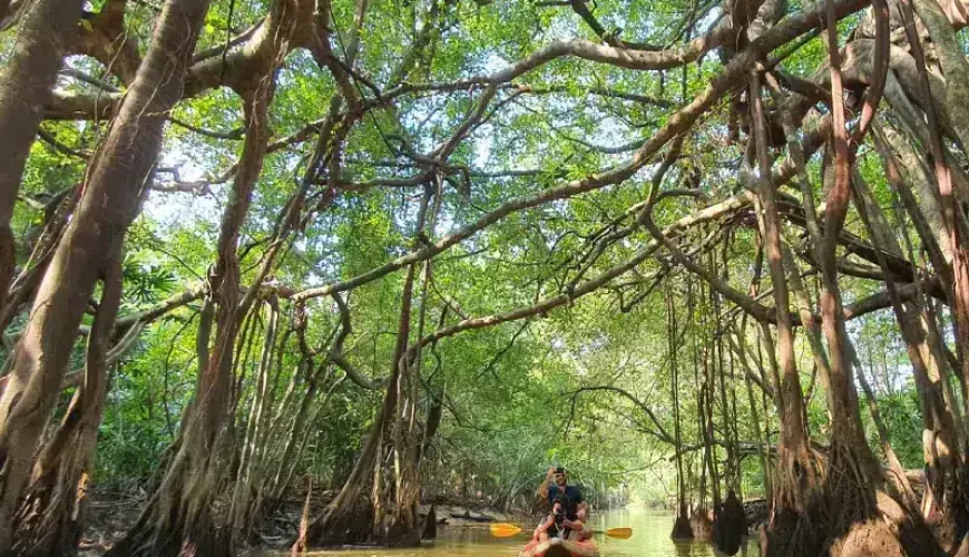 little amazon khao lak ausfluege