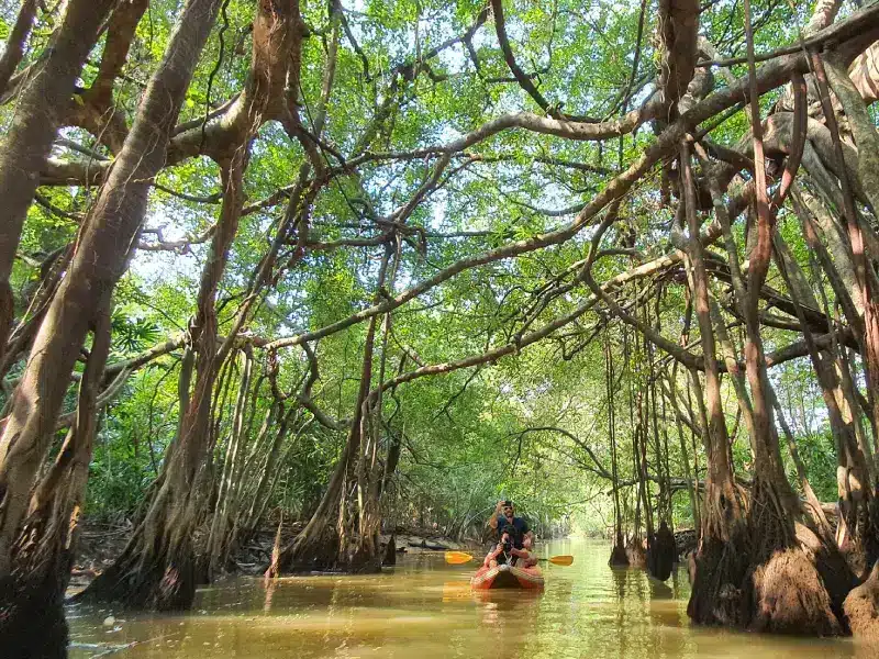 little amazon khao lak ausfluege