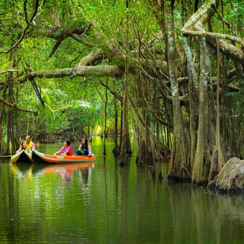 Mangroven Kanufahrt Khao Lak – Naturausflug mit Tempel und Schildkröten