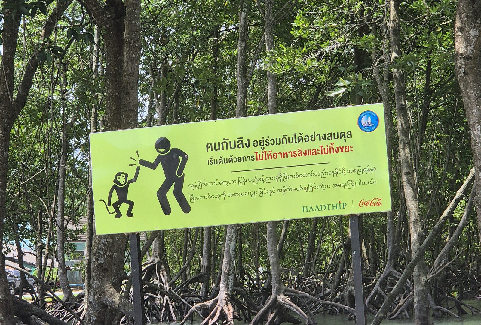 Schild am Mangrovenwald von Tab Lamu bei Khao Lak: Affen nicht füttern und keinen Müll hinterlassen, auf Thai und Burmesisch